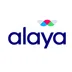 Alaya logo