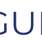 Gurzu Inc Pvt.Ltd  logo