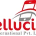 Cellucity International Pvt. Ltd. logo