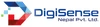 Digi Sense Nepal Logo